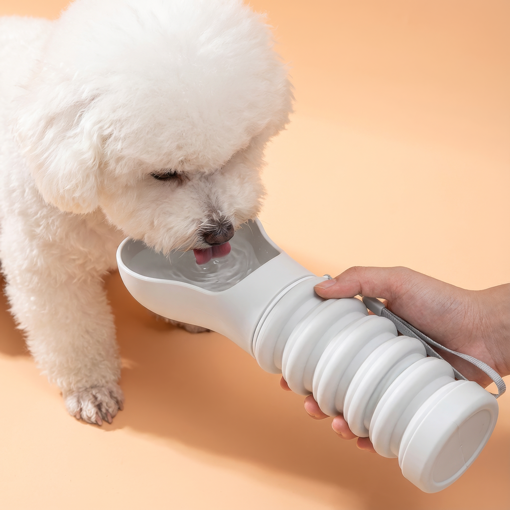 Bone Shaped Compressible Dog Water Bottle 550ml