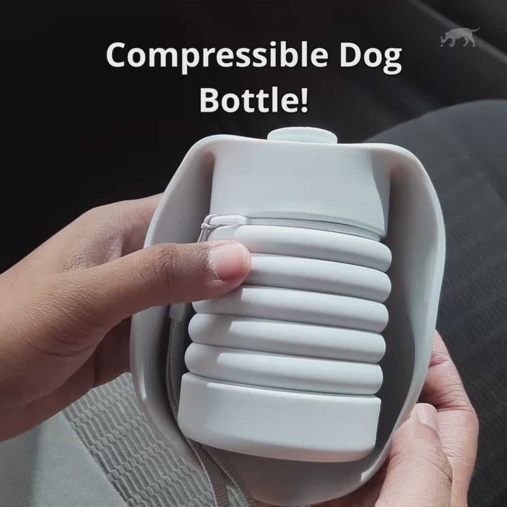 Bone Shaped Compressible Dog Water Bottle 550ml