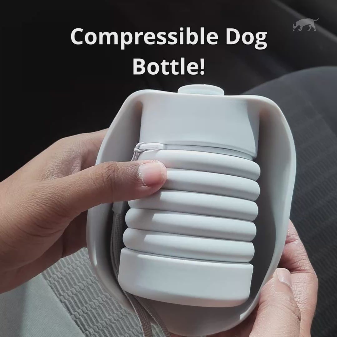 Bone Shaped Compressible Dog Water Bottle 550ml